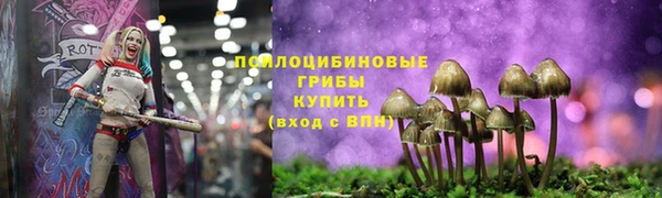 шишки Армянск