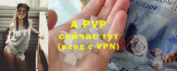 шишки Армянск