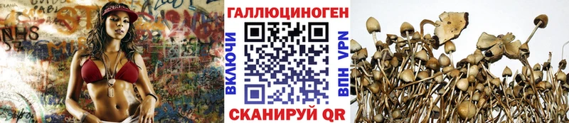 Галлюциногенные грибы мицелий  цены   Нязепетровск 
